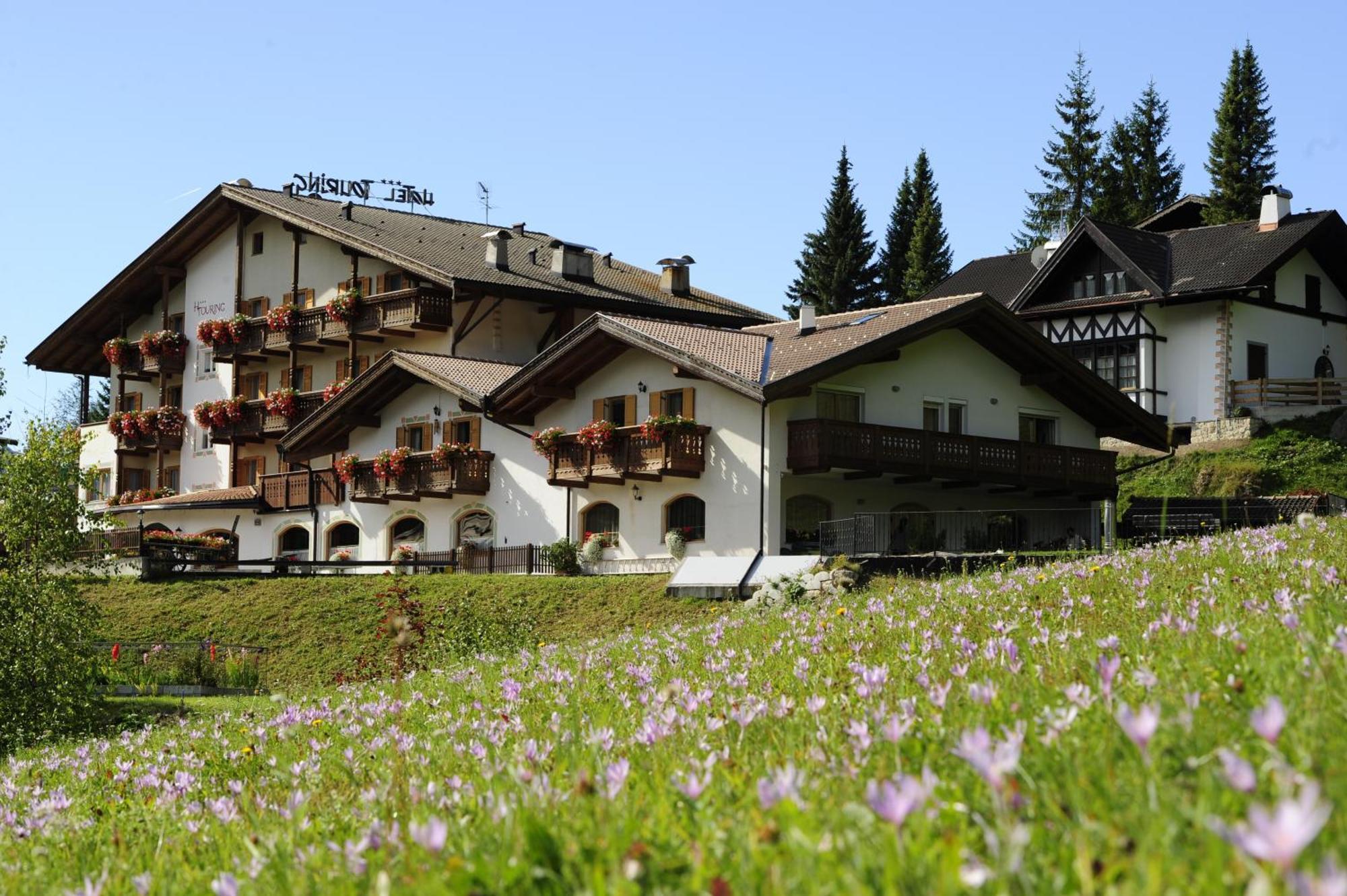 Alpine Touring Hotel-Petfriendly Поцца-ді-Фасса Екстер'єр фото